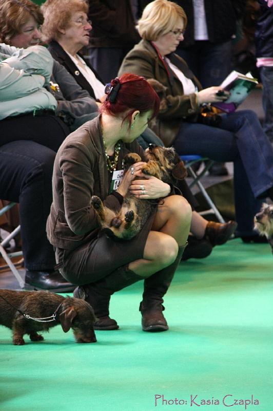 Crufts2011_2 609.jpg